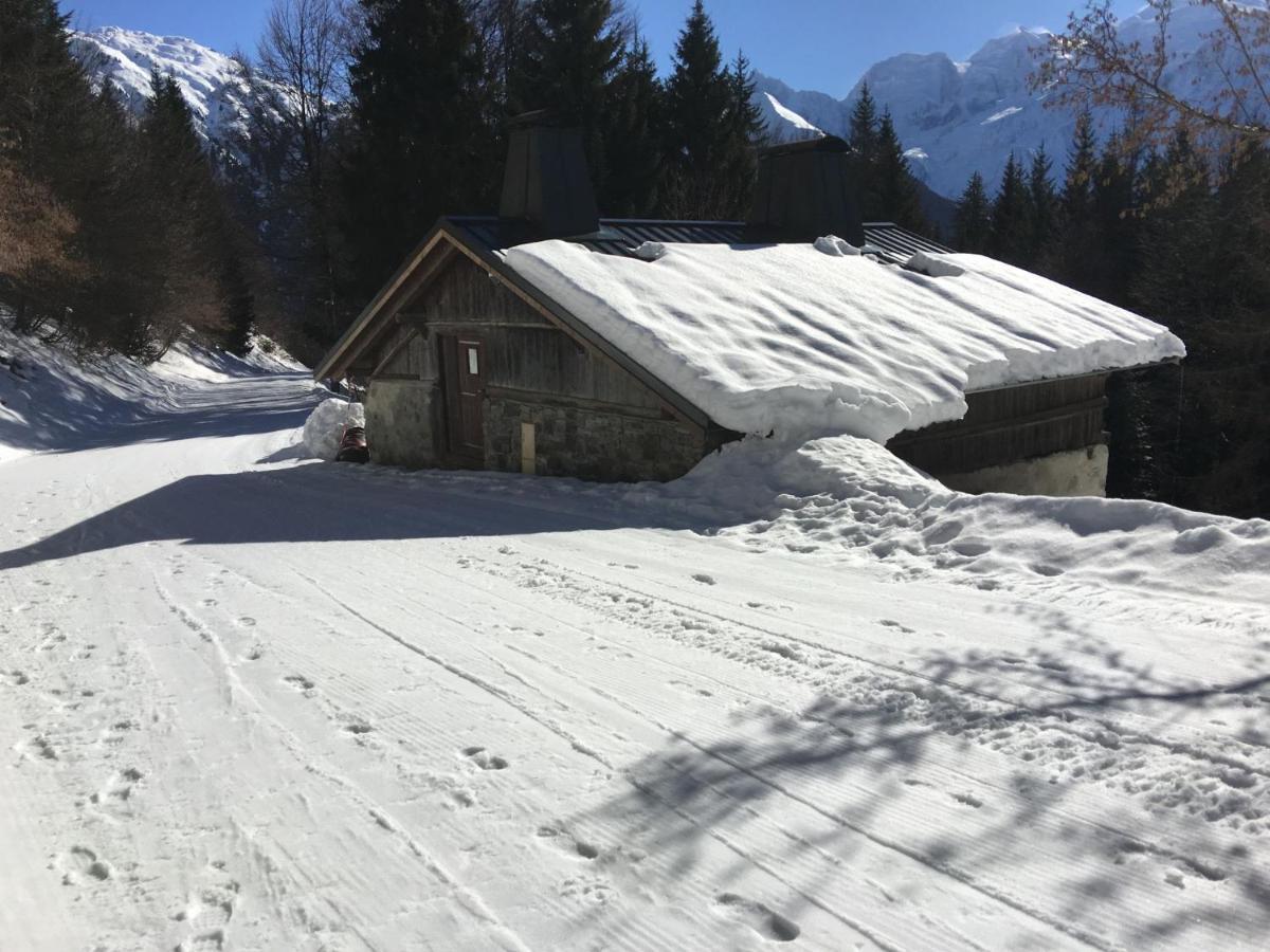 Fizhome Mt Blanc Passy  Extérieur photo